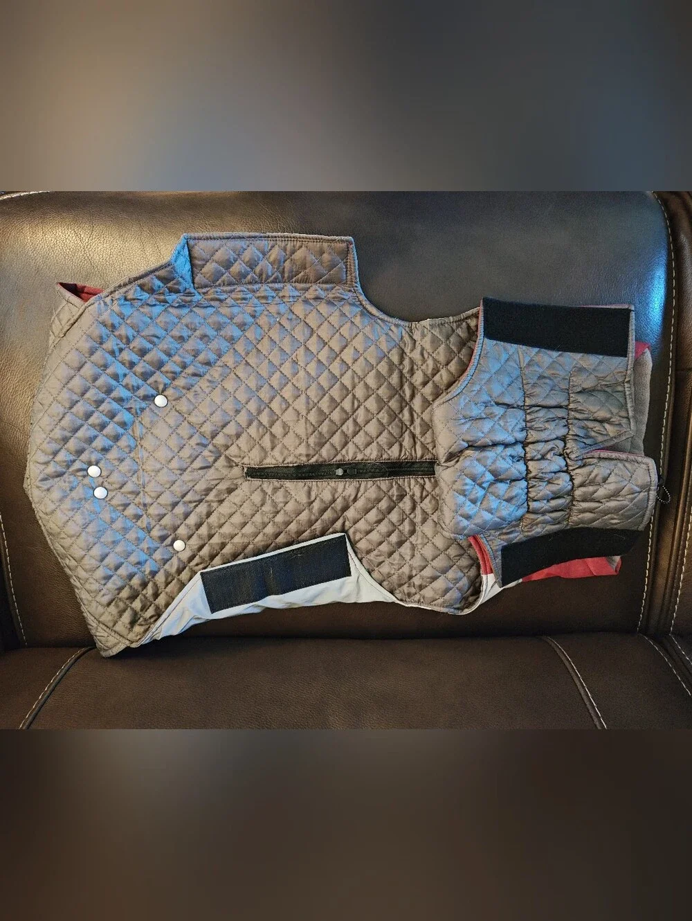 Glacier Bay Dog Coat